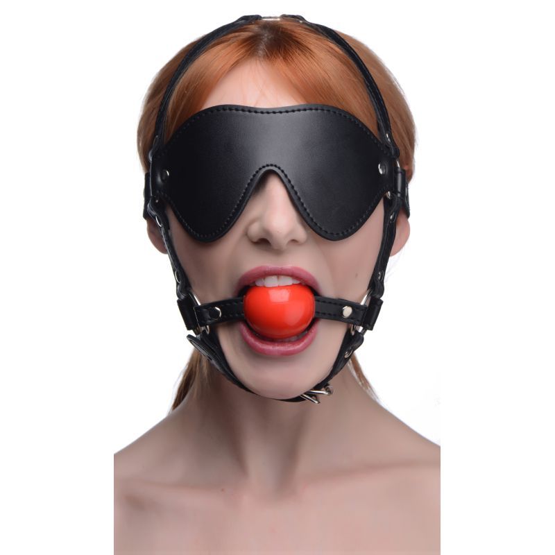 Strict Blindfold Harness With Ball Gag